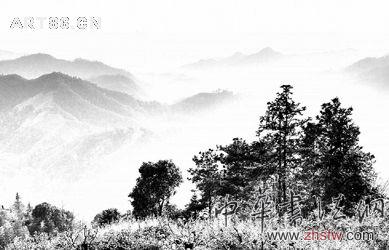 按此在新窗口瀏覽圖片