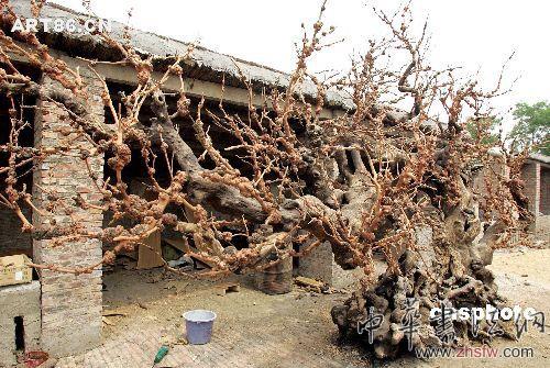 按此在新窗口瀏覽圖片