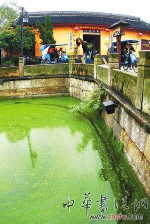 按此在新窗口瀏覽圖片