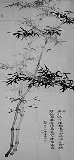 點(diǎn)擊瀏覽下一頁