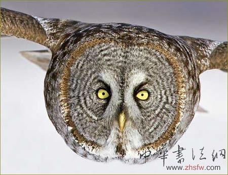 按此在新窗口瀏覽圖片