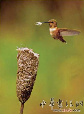 按此在新窗口瀏覽圖片