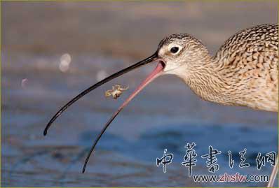 按此在新窗口瀏覽圖片