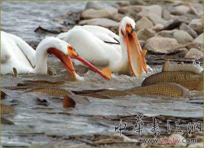 按此在新窗口瀏覽圖片