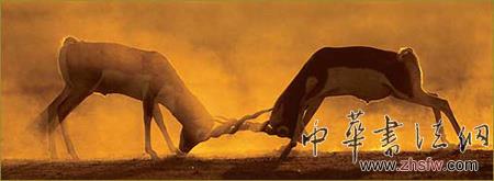 按此在新窗口瀏覽圖片