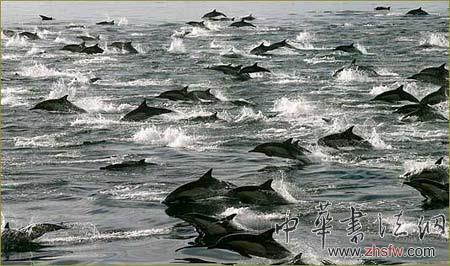 按此在新窗口瀏覽圖片