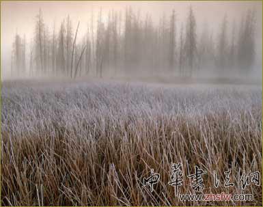 按此在新窗口瀏覽圖片