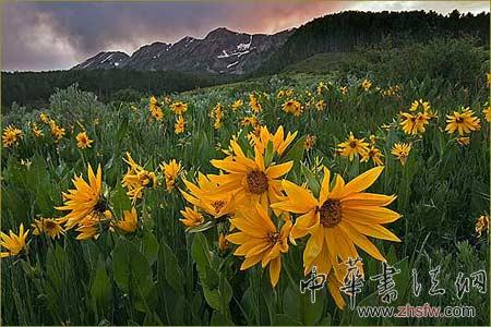 按此在新窗口瀏覽圖片