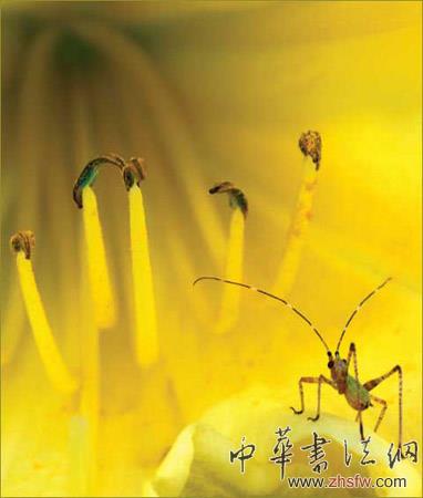 按此在新窗口瀏覽圖片