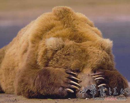 按此在新窗口瀏覽圖片