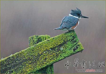 按此在新窗口瀏覽圖片