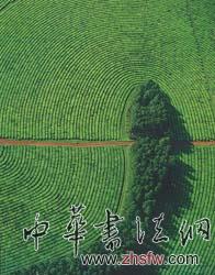 按此在新窗口瀏覽圖片