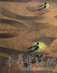 按此在新窗口瀏覽圖片