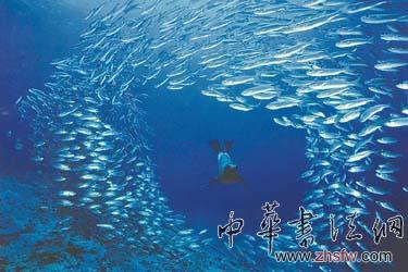 按此在新窗口瀏覽圖片