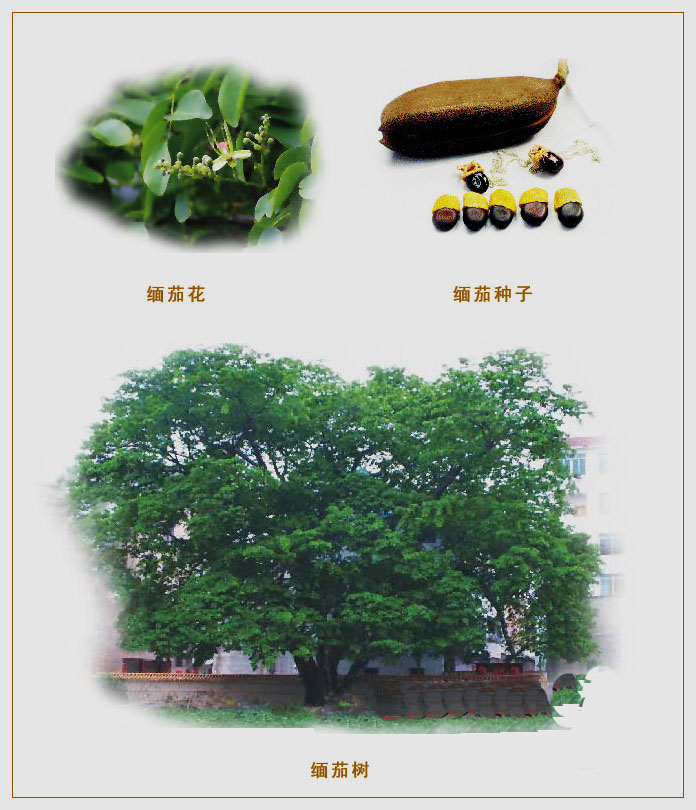 能篆刻又能辟邪的印章材料