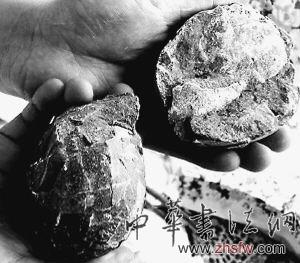 按此在新窗口瀏覽圖片