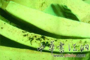 按此在新窗口瀏覽圖片