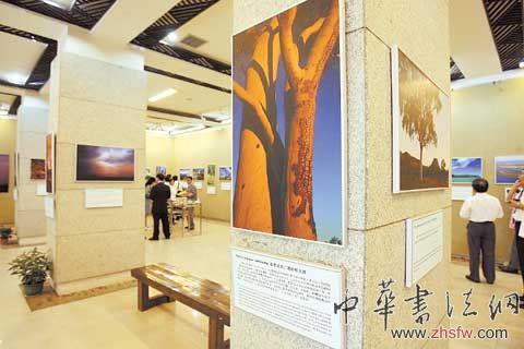 按此在新窗口瀏覽圖片