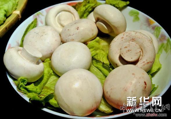 （晚報(bào)）（2）文創(chuàng)會(huì)上的&ldquo;奇石宴&rdquo;