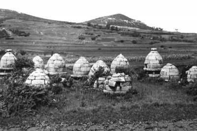 威海地區(qū)元代石墓群 1928年