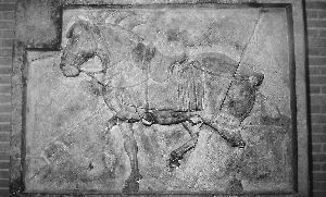 “昭陵六駿”兩件中的另一件“拳毛騧”。 資料圖