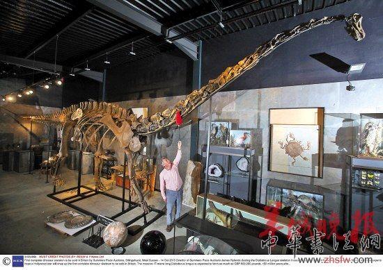 這副梁龍骨架長約16．8米，高約6米，超過雙層公共汽車。