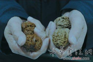 古玩店老板向記者展示文玩核桃的色差區(qū)別。