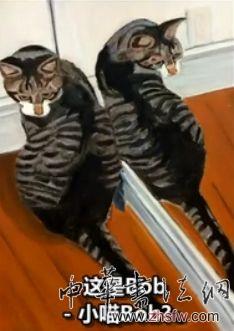 布什給小貓Bob的畫(huà)像