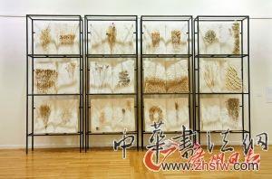 裝置藝術(shù)《本草綱目》。