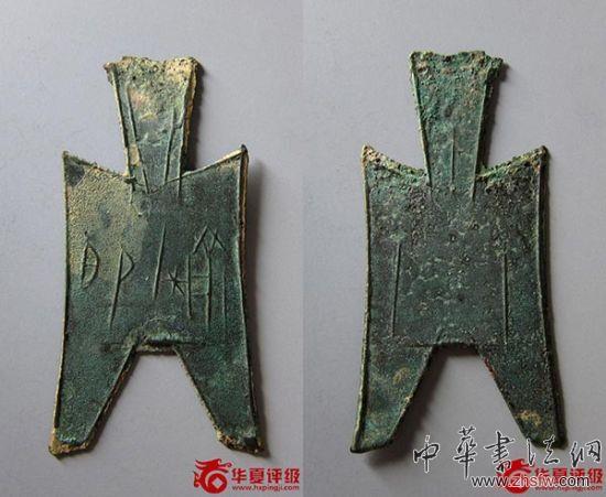 先秦 大型尖足布榆即