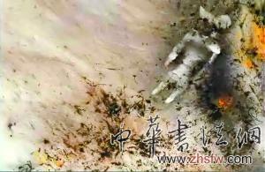 按此在新窗口瀏覽圖片