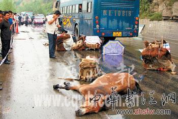 按此在新窗口瀏覽圖片