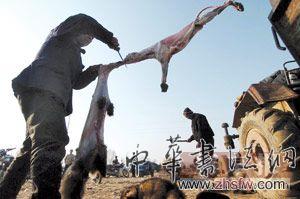 按此在新窗口瀏覽圖片