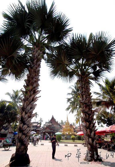 按此在新窗口瀏覽圖片