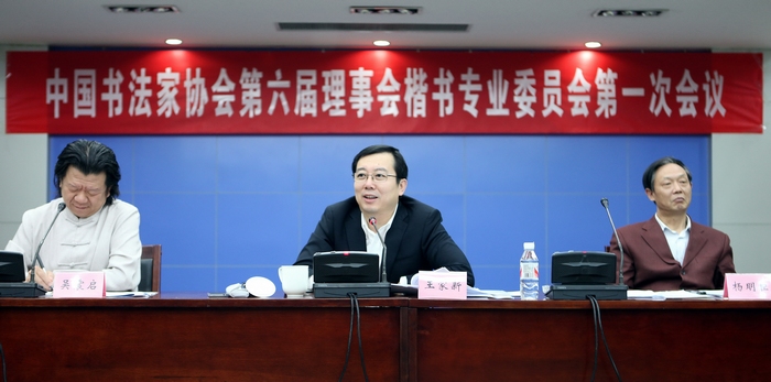 王家新在中國(guó)書協(xié)楷書專業(yè)委員會(huì)會(huì)議上講話 葉武攝