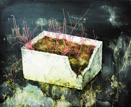 點(diǎn)擊瀏覽下一頁(yè)