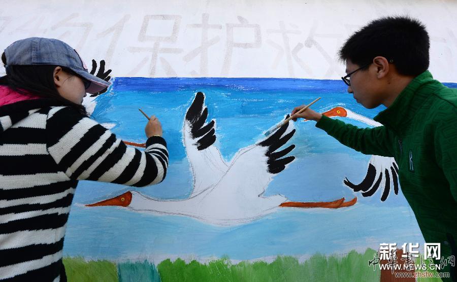 #（生態(tài)）（2）志愿者繪畫(huà)宣傳鳥(niǎo)類保護(hù)