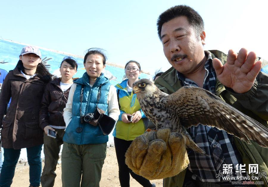 #（生態(tài)）（3）志愿者繪畫宣傳鳥類保護