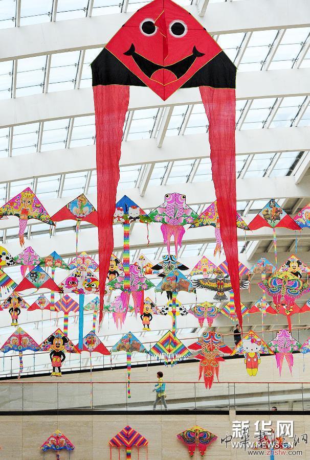 （文化）（2）銀川首屆精品風(fēng)箏展開展
