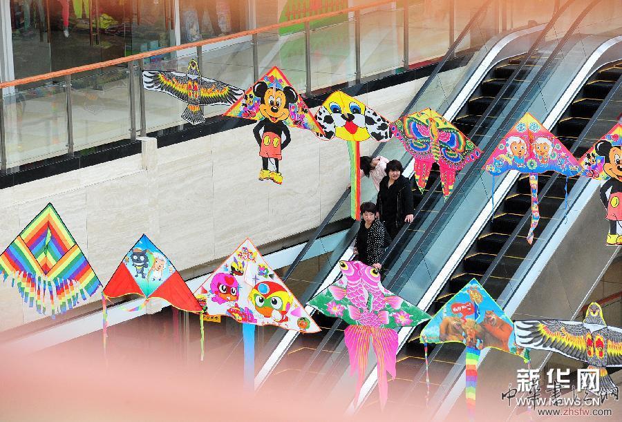 （文化）（3）銀川首屆精品風(fēng)箏展開展