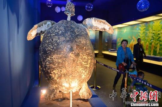 “海洋精靈”游進(jìn)內(nèi)蒙古