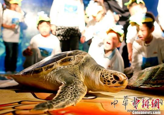 海龜代言做公益 兒童書畫繪海洋