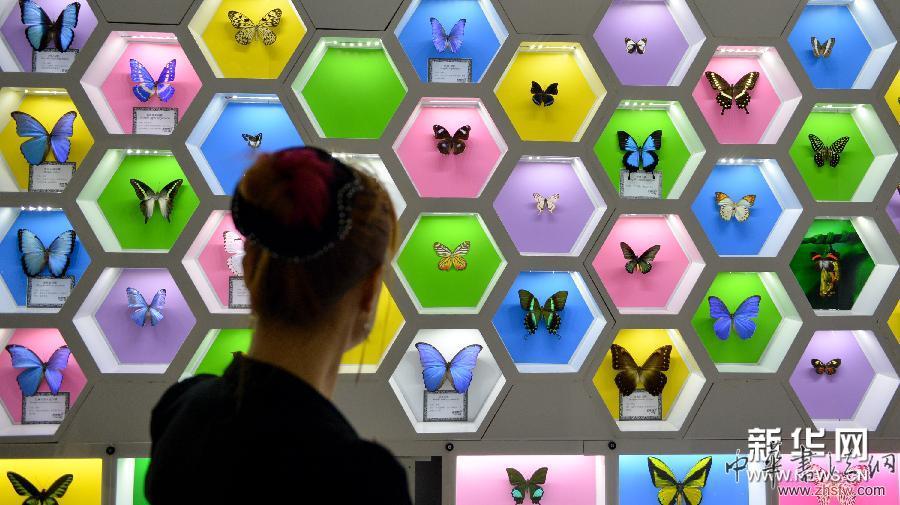 （社會(huì)）（3）湖南首家蝴蝶文化主題公園即將在長沙開園
