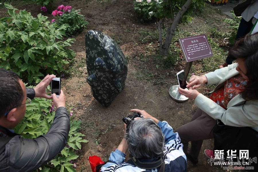 （晚報）（2）&ldquo;名園名花展&rdquo;在京開幕