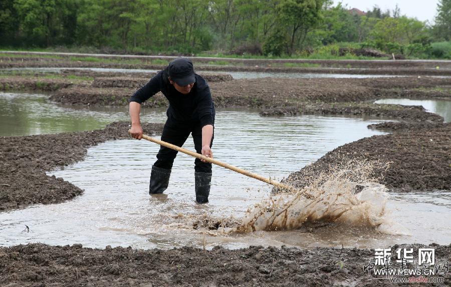 大地農(nóng)民畫《巨龍舞夢(mèng)》輪廓初顯 圖 #(文化)(1)大地農(nóng)民畫《巨龍舞夢(mèng)》輪廓初顯