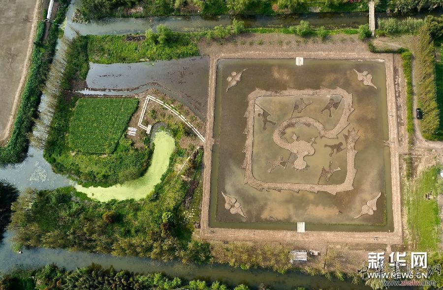 大地農(nóng)民畫《巨龍舞夢》輪廓初顯 圖 #(文化)(3)大地農(nóng)民畫《巨龍舞夢》輪廓初顯