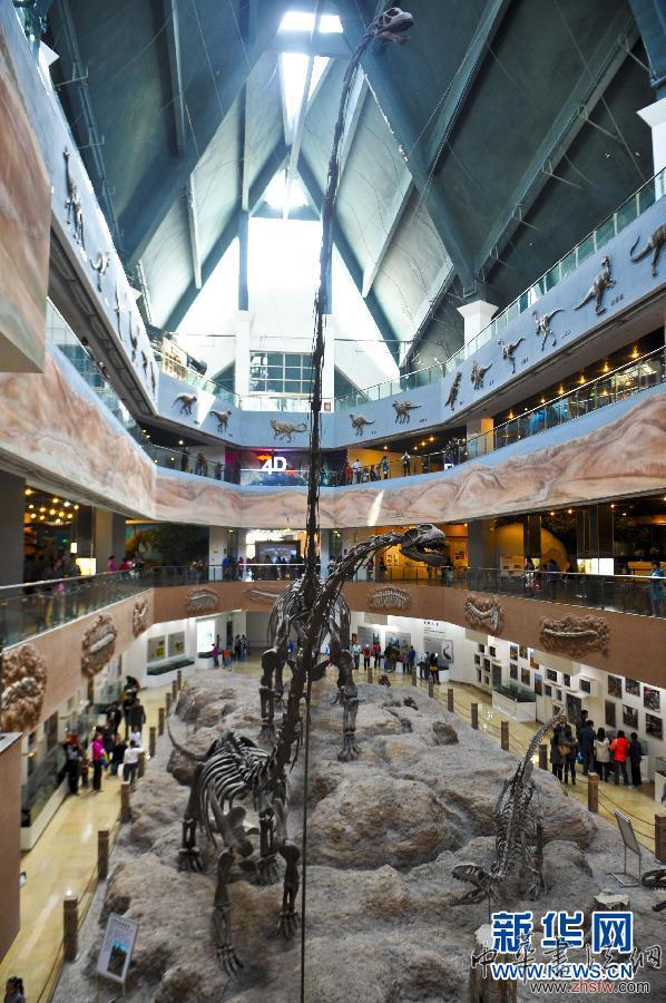 （文化）（2）博物館中度假期