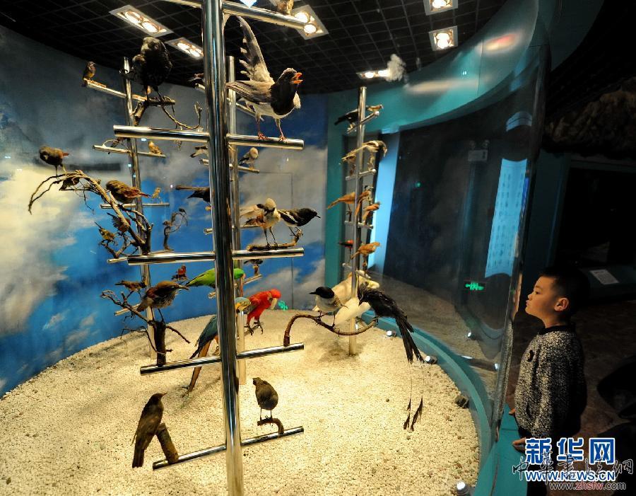 （文化）（1）博物館中度假期