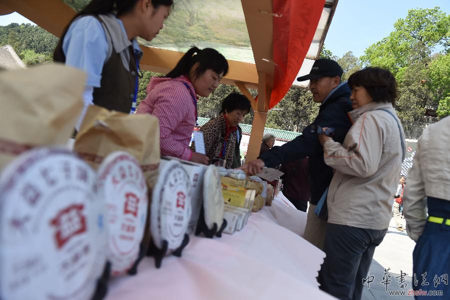 北京八大處公園體驗茶文化 組圖 (晚報)(2)北京八大處公園體驗茶文化