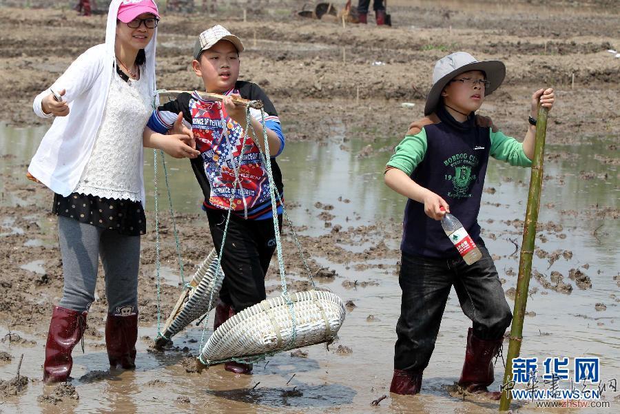 “蚯蚓藝術(shù)家”稻田共繪《巨龍舞夢》 (文化)(3)“蚯蚓藝術(shù)家”稻田共繪《巨龍舞夢》